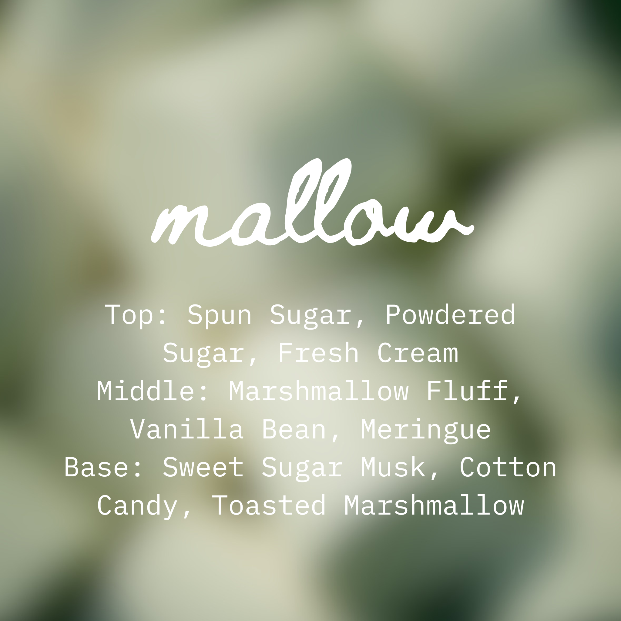 mallow